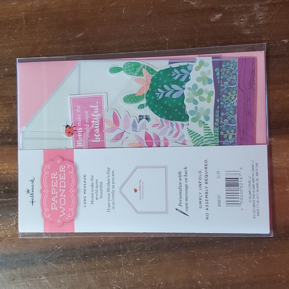 ๐ต ADD ON ONLY ๐ Mothers Day for ANY MOM Greenhouse flowers plantmom ladybug - Picture 4 of 6